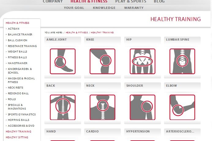 healthy training, movement concept, hip training, knee training, back training, shoulder training, neck training,