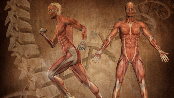 Körperachsentraining